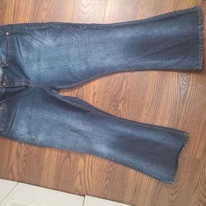 Source of wisdom (discontinued Torrid brand) size 24 bell bottom Jeans.